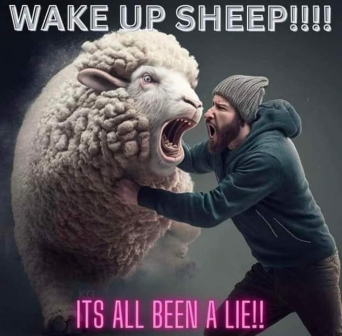 Wake up sheep